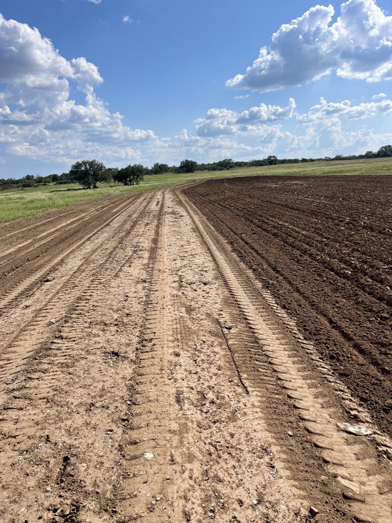 Seed Planting 4