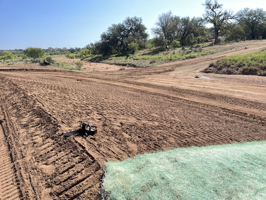 Seed Planting 6