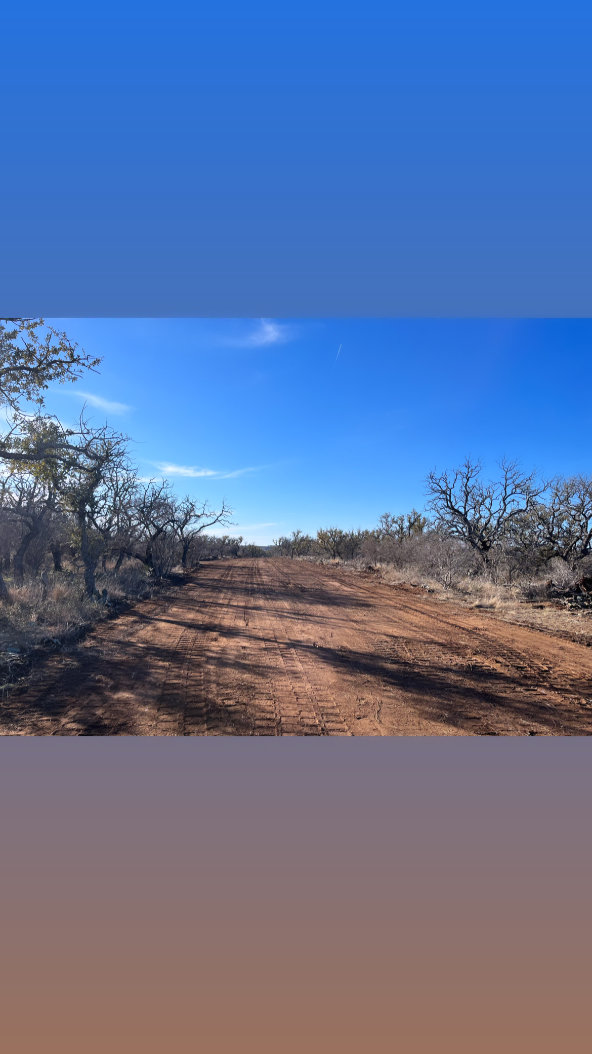 Clearing and clearing natural areas 1