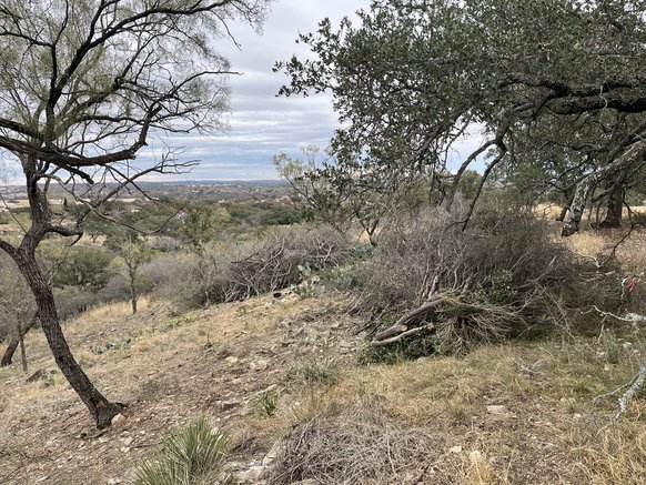 Clearing and clearing natural areas 3
