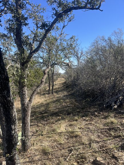 Clearing and clearing natural areas 4