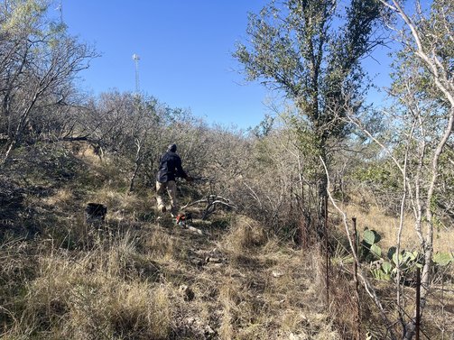 Clearing and clearing natural areas 5